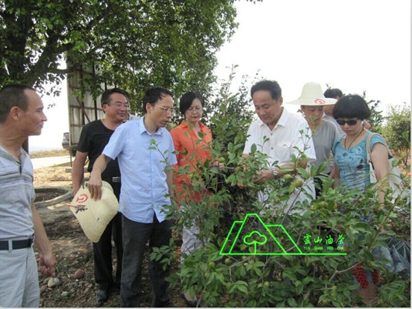 江西省油茶辦主任、工程師孫勇、省科技廳農(nóng)村工作處副處長(zhǎng)、副調(diào)研員尹伊等基地指導(dǎo)工作